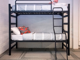 Griffin Bunked Bed With Ladder