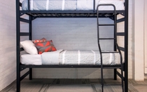 Griffin Bunked Bed With Ladder
