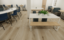 Leigh and Summit Bench Action Rendering 3