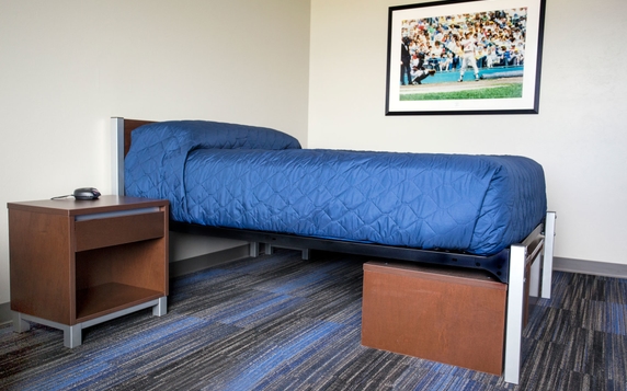 Minnesota Twins Bed