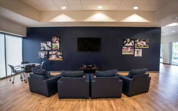 Minnesota Twins Tv Lounge